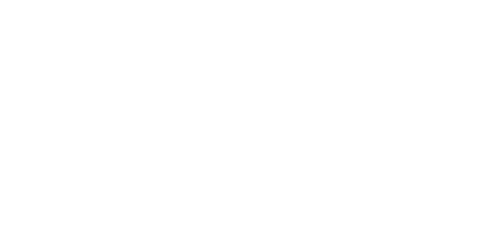 Arai Helmet
